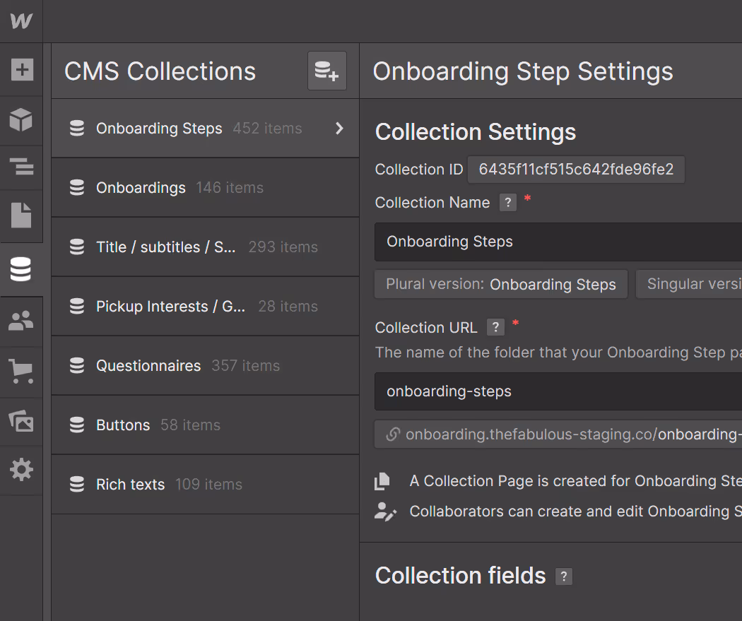 Webflow CMS Dev